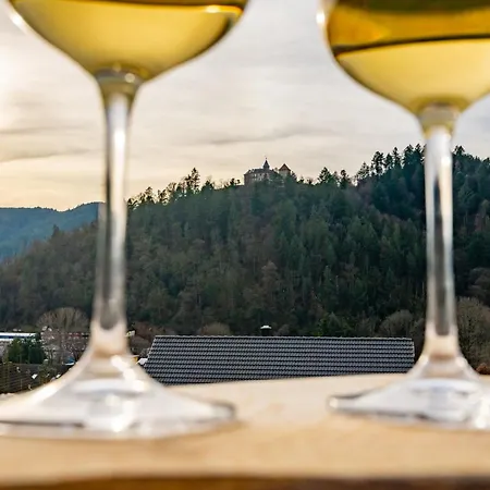 Schlossblick Schwarzwaldpanorama * Gernsbach
