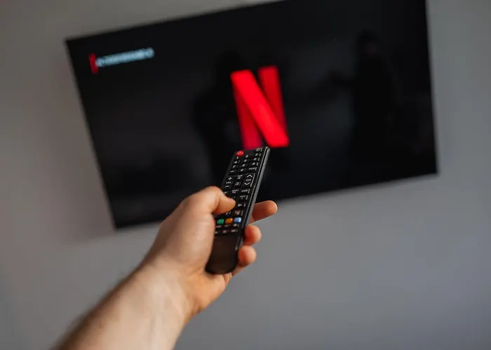 Schlossblick Schwarzwaldpanorama Appartement *